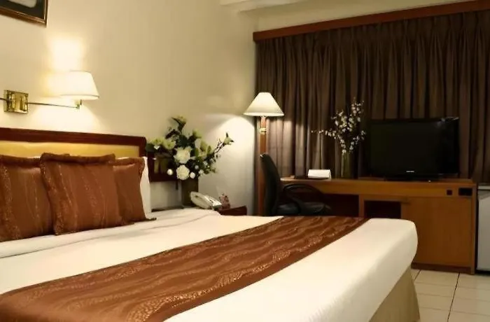 Palm Manila